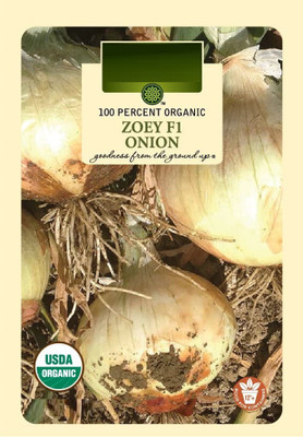 CYBEXIS HUA-82 - Zoey Onion Yellow - (4500 Seeds) Seed(4500 per packet)
