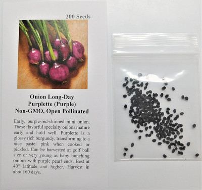 WILLVINE PUAS -XVI Onion Pickling Purplette(Purple) [50g] Seed(30000 per packet)
