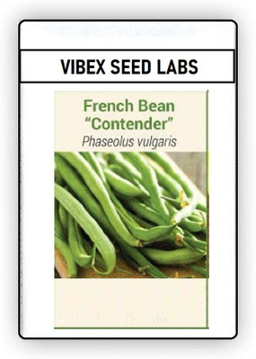 CYBEXIS F1 Hybrid French Bean Seeds200 Seeds Seed(200 per packet)