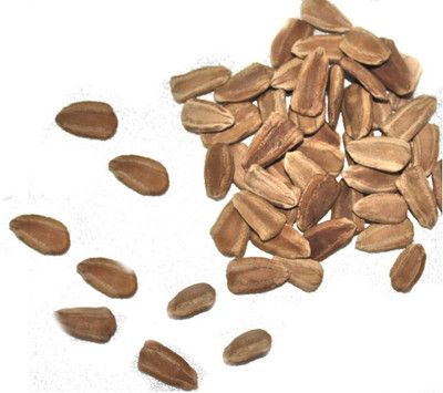Qualtivate PUA-7A SPECKLED SWAN GOOSE NECK Bottle Gourd Seed(50 per packet)