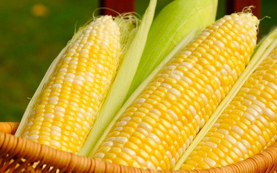 Aywal On Deck Sweet Corn Seed(100 per packet)