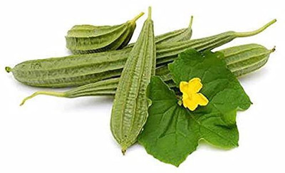 KANAYA Dhari Tori F1 Hybrid Vegetable Seed(15 per packet)