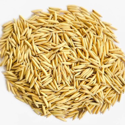 PMA Basmati Paddy, Rice Seed for Farming & Agriculture, 1Kg Per Packet, Basmati Seed(1 kg)