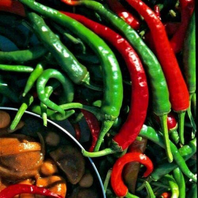 CYBEXIS Seeds of Hot Chilli Pepper Cayenne-300 Seeds Seed(300 per packet)