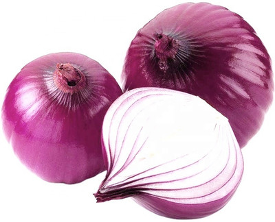 WATIKA Nasik Onion Seed(500 per packet)