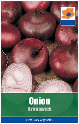 KNESSiN Onion Brunswick Seeds Seed(300 per packet)