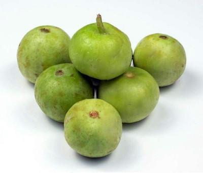 Farmonix Org_32_Tinda-Rare Indian Round Gourd -Good Producer Seed(30 per packet)