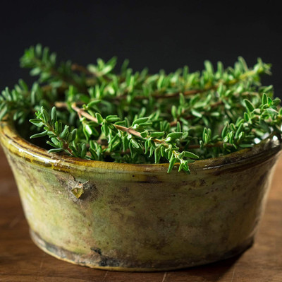 CYBEXIS TLX-75 - Thyme(Thymus Vulgaris)Herb - (450 Seeds) Seed(450 per packet)