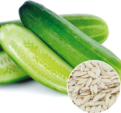 Cloud Farm Cucumber Seed(50 per packet)