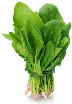 MYLAWN पालक के बीज/Palak Spinach Seed(2000 per packet)