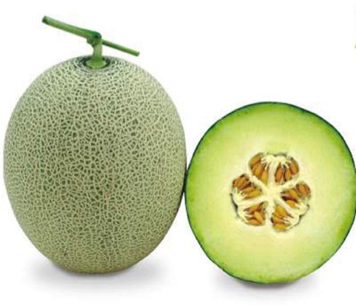 KNESSiN Garden Green Muskmelon imported fruit seed Seed(100 per packet)