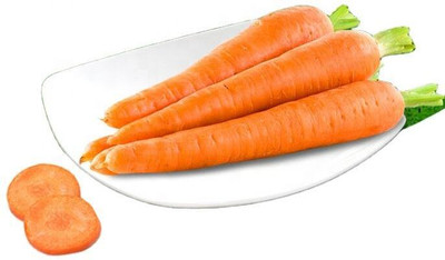 KNESSiN VXI-25 Carrot Flakee Seed(1000 per packet)