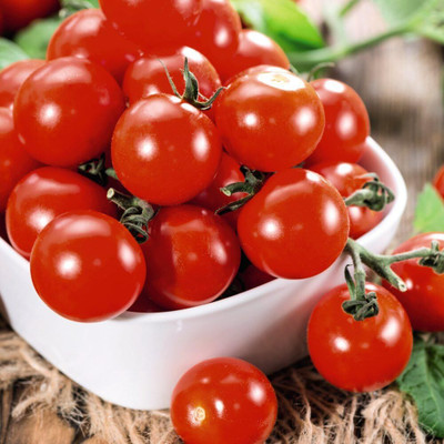 Biosnyg Fast Growing Tomato Consuelo Vegetable Seeds for Home Gardening - (1000 Seeds) Seed(1000 per packet)