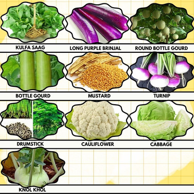Greenery Hub 10 Essential Veggie Seed Pack for Home Gardens Seed(10 per packet)