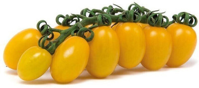 VRAKSHA Tomato Seed(2000 per packet)