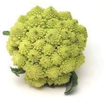 CYBEXIS Hybrid Broccoli Romanesco Pagoda Broccoli2000 Seeds Seed(2000 per packet)