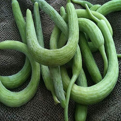 ENINE Vegetable Seeds Cucumber Kakdi Seeds Long Melon GG168 Seed(100 per packet)