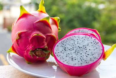 Oliver imported dragon fruit seeds Seed(15 per packet)