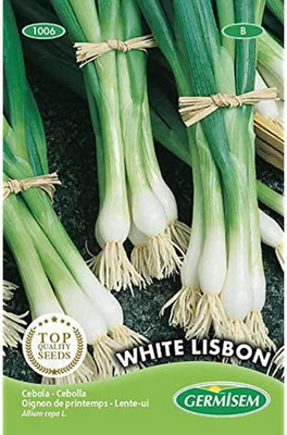 KNESSiN White Lisbon Onion Seed(200 per packet)
