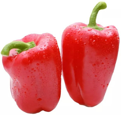 VASUDHA Capsicum/Shimla Mirch/Bell Pepper Seed(800 per packet)