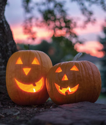 Qualtivate ICRA-4A Jack O' Lantern Pumpkin Seeds Seed(50 per packet)