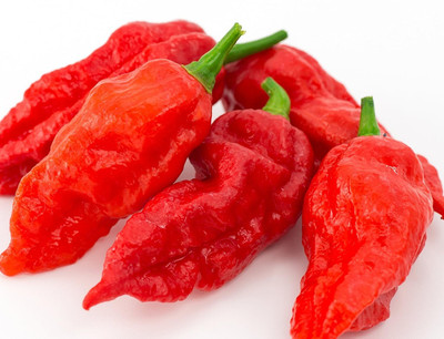 ActrovaX Bhoot Jholkia NAGA Chilli Ghost Peeper [16000 Seeds] Seed(16000 per packet)