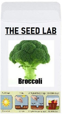 CYBEXIS Organic Vegetable Seeds-Broccoli500 Seeds Seed(500 per packet)