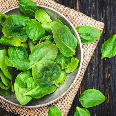 GREENSEA Palak/Spinach Seed(70 per packet)