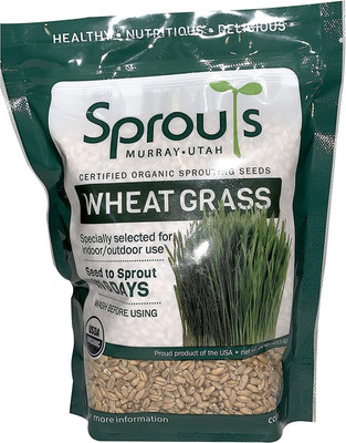 CYBEXIS TLX-24 - Cat Grass Hard Red Winter Wheat - (2500 Seeds) Seed(2500 per packet)
