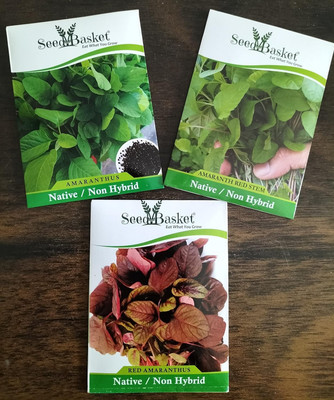 seedbasket Native/Non-GMO Amaranthus 3 Pack Green Leaf, Red Leaf, Red Stem Gardening Seed(1400 per packet)