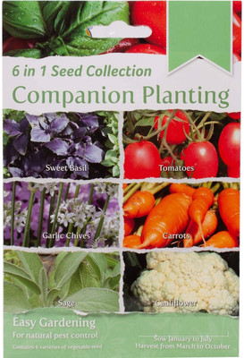 CYBEXIS 6 in 1 Vegetable Seed Collection Seed(10 g)