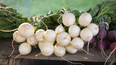 Hybrid Galaxy Radish Seed(10 per packet)