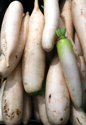 SeedHaven Upl Radish (Mulli) Vegetable Hybrid Variety Seed(50 per packet)
