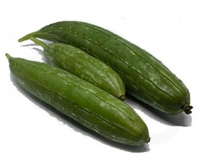 Avysa SPONGE GOURD - TORI Seed(250 per packet)