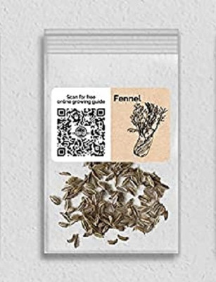 WILLVINE Non-GMO HybridFennel-1250 Seeds Seed(1250 per packet)