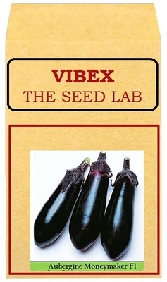 KNESSiN Brinjal Purple Long Seed(1250 per packet)