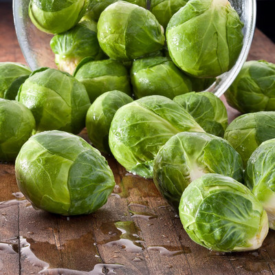 WILLVINE VMR -XI Non-Hybrid Brussels Sprouts Seeds [2.5g] Seed(750 per packet)