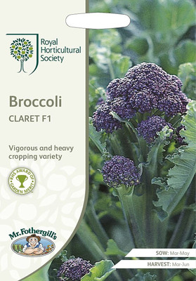 CYBEXIS Vegetable -Broccoli Claret F12000 Seeds Seed(2000 per packet)