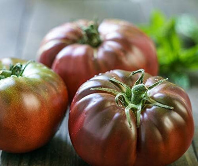 KNESSiN Heat Tolerant Black Krim Tomato Summer Vegetable Seeds For Planting - (400 S) Seed(400 per packet)