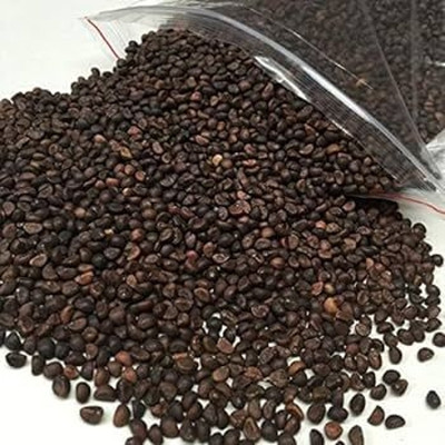 BDSresolve Water Spinach Seeds PACK OF 118 Seed(118 per packet)