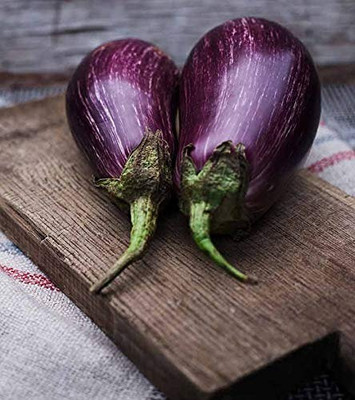 MAA Brinjal CVK, Brinjal Purple round, Eggplant Seed(280 per packet)