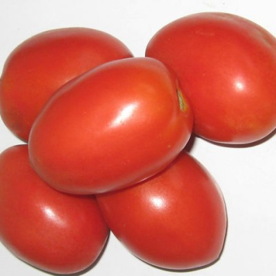 CEZIUS Seeds For Farming Home Garden Salad Desi Tomato,Tamatar Seed(250 per packet)