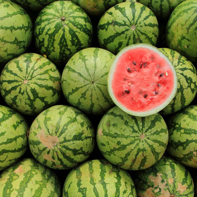 Biosnyg High Yield Sweet Crimson Watermelon Fruit Seeds for Garden-(250 Seeds) Seed(250 per packet)