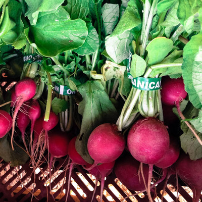 Qualtivate RES-6A Cherry Belle Radish Seeds Seed(300 per packet)