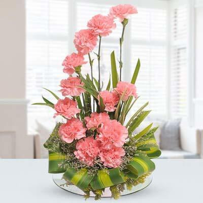 CYBEXIS Flowers Light Pink Carnations Seed(50 per packet)