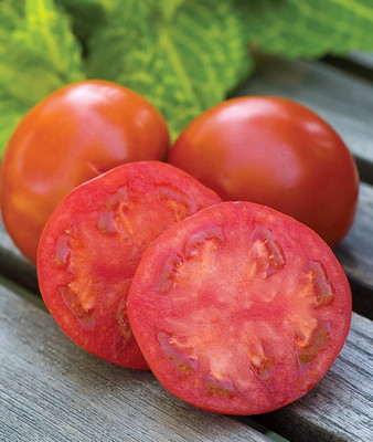 Qualtivate AXL-1AT Sweet Seedless Tomato Seed(300 per packet)