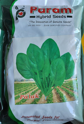 HYBRID 500g Spinach / palak seeds highest yield dark green leaf shine leaf Seed(1 per packet)