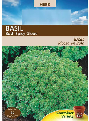 Qualtivate TLX-67 Spicy Globe Basil Seeds Seed(1000 per packet)