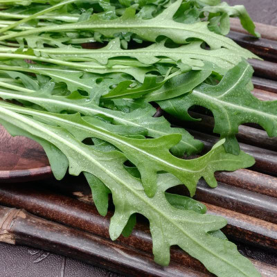 CYBEXIS XLL-35 - Arugula Italian Cress Rocket - (750 Seeds) Seed(750 per packet)