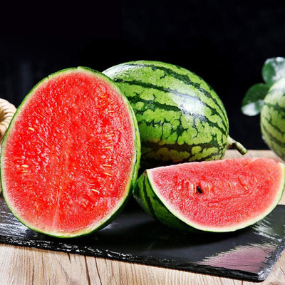 KNESSiN Hybrid Red Watermelon Seeds Seed(50 per packet)